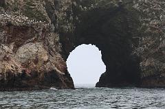 1228-Isole Ballestas,19 luglio 2013